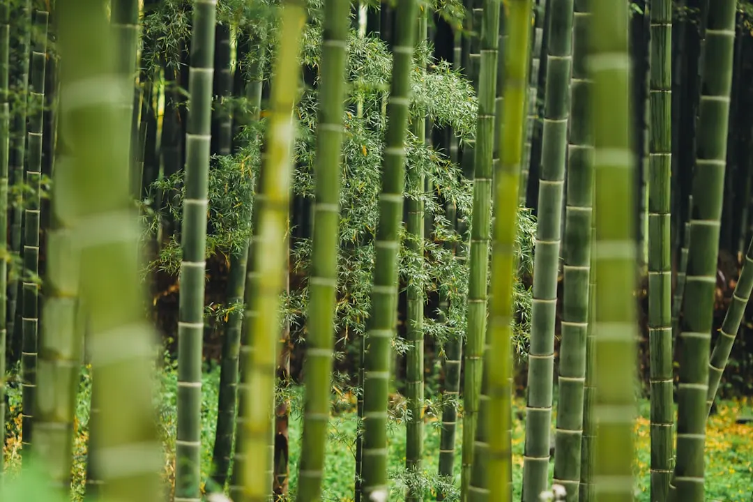 美宜斯派橱衣柜定制流程详解：从量尺到安装的七个关键环节